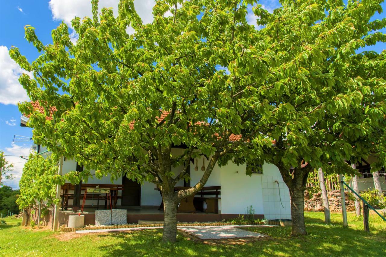 Zidanica Balantic Villa Dobrovnik Exteriör bild